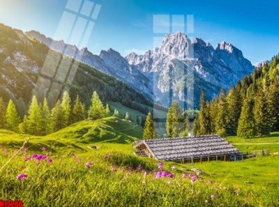 File tranh in trần 3D File tranh gốc in tranh tường nền tổng hợp H13208 (ảnh gốc)