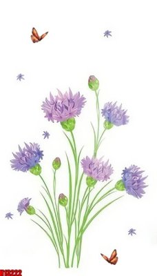 File gốc File tranh gốc in tranh tường nền tổng hợp H13222 (in lụa) cao cấp