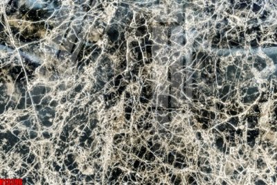 Tải file gốc File tranh gốc in tranh tường nền tổng hợp H13296 (in tráng gương) cao cấpFile gốc File tranh gốc in tranh tường nền tổng hợp H13296 (in ấn) phiên bản độc quyền