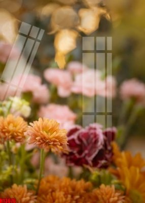 File gốc File tranh gốc in tranh tường nền tổng hợp H13676 (cho in UV) siêu nét