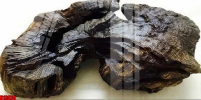 File gốc File tranh gốc in tranh tường nền tổng hợp H13878 (PNG) không nền chất lượng