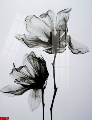 File gốc File tranh gốc in tranh tường nền tổng hợp H14017 (trang trí) phòng trẻ em