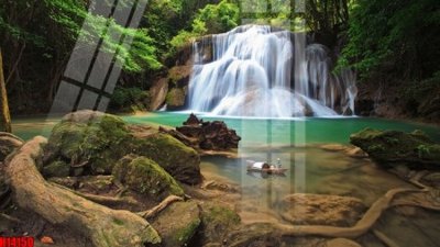 File in trần File tranh gốc in tranh tường nền tổng hợp H14150 (bản gốc 3D) sống động