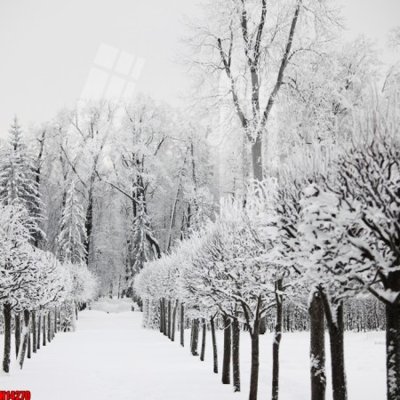 File gốc File tranh gốc in tranh tường nền tổng hợp H14270 (in lụa) tranh phong thủy