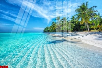 File gốc File tranh gốc in tranh tường nền tổng hợp H14286 (in lụa) hoa văn cổ điển