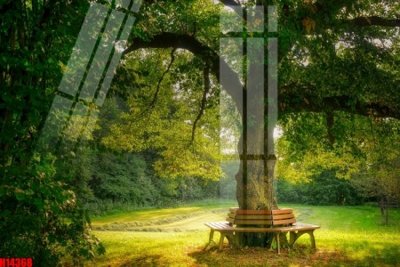 File ảnh gốc File tranh gốc in tranh tường nền tổng hợp H14368 không vỡ nét