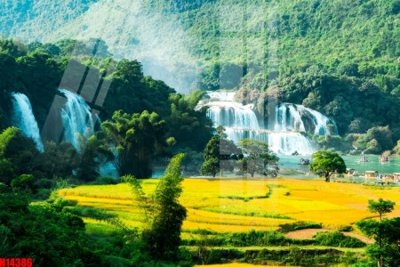 File tranh in mica File tranh gốc in tranh tường nền tổng hợp H14386 (độ phân giải cao)