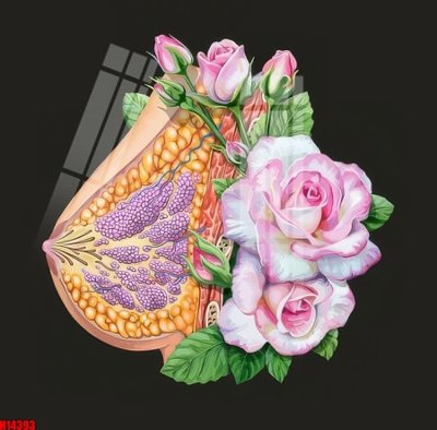 File gốc File tranh gốc in tranh tường nền tổng hợp H14393 (in tráng gương) nghệ thuật