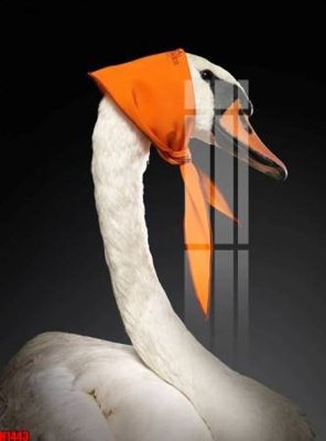 File PSD File tranh decor tranh bộ treo tường tổng hợp H1443 (bản gốc) chất lượng nhất