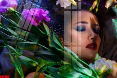 File in mica File tranh gốc in tranh tường nền tổng hợp H14569 (bản gốc) làm vách ngăn