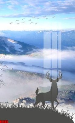 File tranh File tranh decor tranh bộ treo tường tổng hợp H1465 (ảnh gốc) in trần nhà