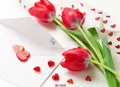 File ảnh gốc file tranh hoa H147 (chuyên in mica)
