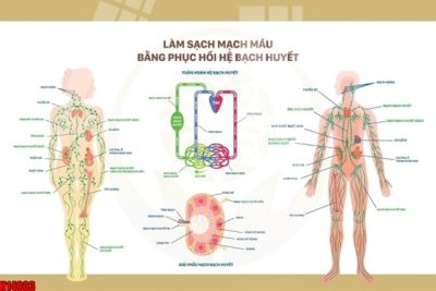 Tải file gốc File tranh gốc in tranh tường nền tổng hợp H14803 (in tráng gương) 3DFile gốc File tranh gốc in tranh tường nền tổng hợp H14803 (sẵn sàng in) chất lượng cao