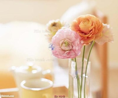 File tranh file tranh hoa H149 (ảnh gốc) không bị mờ