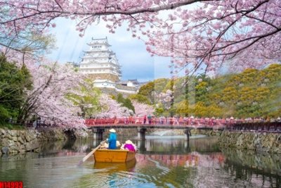 Tải về file gốc File tranh gốc in tranh tường nền tổng hợp H14993 (dùng cho in quảng cáo)