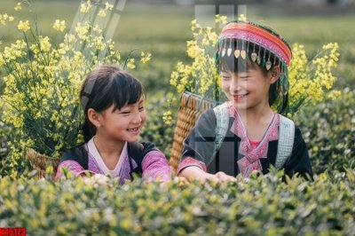 File gốc File tranh gốc in tranh tường nền tổng hợp H15173 (phong cách) cổ điển