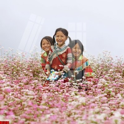 File tranh gốc PSD File tranh gốc in tranh tường nền tổng hợp H15191 còn nguyên layer