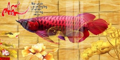 File gốc File tranh gốc in tranh tường nền tổng hợp H15339 (in ấn) màu sắc trung thực