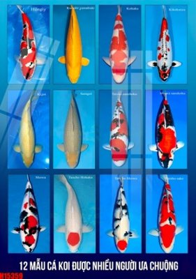 File gốc File tranh gốc in tranh tường nền tổng hợp H15359 (phong cách) cổ điển