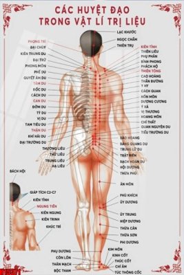 File ảnh File tranh gốc in tranh tường nền tổng hợp H15371 (gốc) in quảng cáo ngoài trời