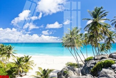 File ảnh gốc File tranh gốc in tranh tường nền tổng hợp H15415 (chuyên in mica)