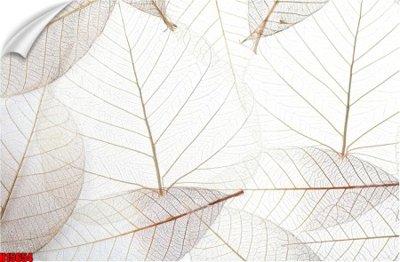 File PSD File tranh gốc in tranh tường nền tổng hợp H15654 (gốc) tách lớp chi tiết