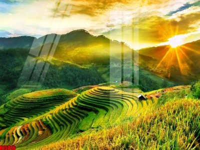 File gốc File tranh gốc in tranh tường nền tổng hợp H15816 (cho in ấn) độc quyền