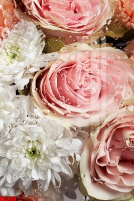 File gốc File tranh gốc in tranh tường nền tổng hợp H15830 (chuẩn màu) cho in offset