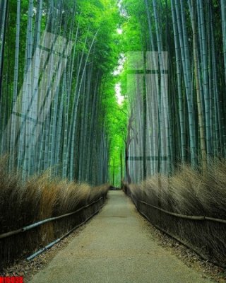 Tải file File tranh gốc in tranh tường nền tổng hợp H16038 (ảnh gốc) file TIFF