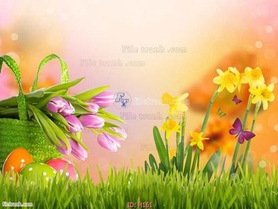 File in trần file tranh hoa H161 (bản gốc) trời sao