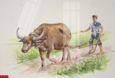 File in trần File tranh gốc in tranh tường nền tổng hợp H16174 (file gốc) hoa văn 3D