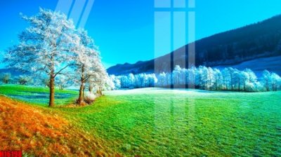 File ảnh gốc File tranh gốc in tranh tường nền tổng hợp H16198 (chuyên in mica)