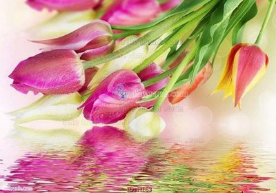 File tranh file tranh hoa H163 (bản gốc) treo tường