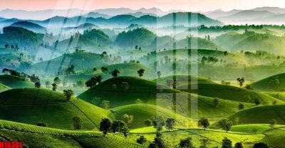 File gốc File tranh gốc in tranh tường nền tổng hợp H16301 (in lụa) họa tiết 3D