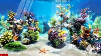 File tranh File tranh gốc in tranh tường nền tổng hợp H16349 (ảnh gốc) độ nét vượt trội