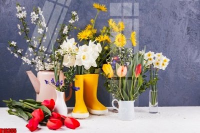 Tải file gốc File tranh gốc in tranh tường nền tổng hợp H16355 (in khổ lớn) quảng cáo