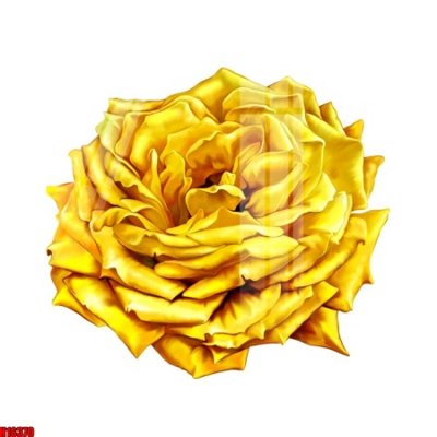 File tranh File tranh gốc in tranh tường nền tổng hợp H16370 (ảnh gốc) sắc nét hoàn hảo