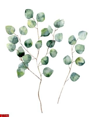 File PSD File tranh gốc in tranh tường nền tổng hợp H16372 (nguyên gốc) chất lượng cao