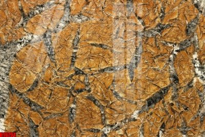 File gốc File tranh gốc in tranh tường nền tổng hợp H16794 (PNG) không nền chất lượng