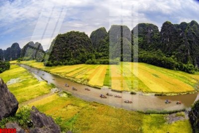 Tải file gốc File tranh gốc in tranh tường nền tổng hợp H16834 (bản PSD) chỉnh sửa được