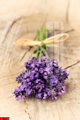 File ảnh File tranh gốc in tranh tường nền tổng hợp H16927 (gốc) trang trí khách sạn