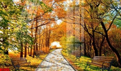 File gốc File tranh gốc in tranh tường nền tổng hợp H17046 (PNG) không nền chất lượng