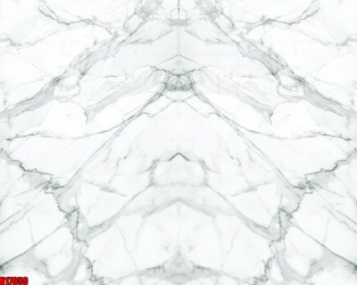 File tranh File tranh gốc in tranh tường nền tổng hợp H17059 (gốc) chủ đề động vật