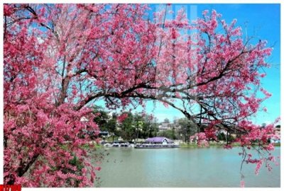 File tranh trang trí File tranh gốc in tranh tường nền tổng hợp H17108 (tải file gốc)