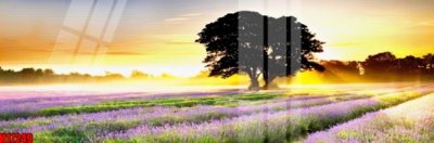 File gốc File tranh gốc in tranh tường nền tổng hợp H17249 (bản quyền) cho in ấn