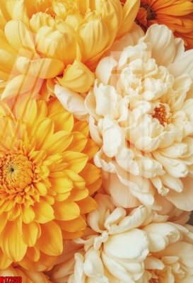 File in mica File tranh gốc in tranh tường nền tổng hợp H17253 (bản gốc) sắc sảo