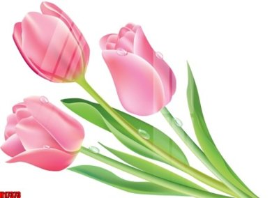 File gốc File tranh gốc in tranh tường nền tổng hợp H17373 (in tráng gương) sang trọng