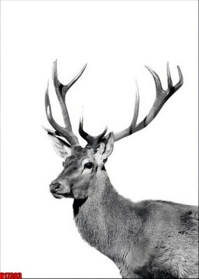 Mua file gốc File tranh gốc in tranh tường nền tổng hợp H17383 (chất lượng) tại Filetranh.com