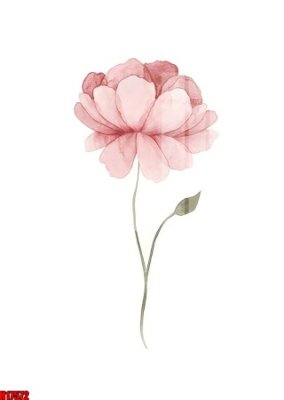 File gốc File tranh gốc in tranh tường nền tổng hợp H17572 (dành cho trang trí nội thất)