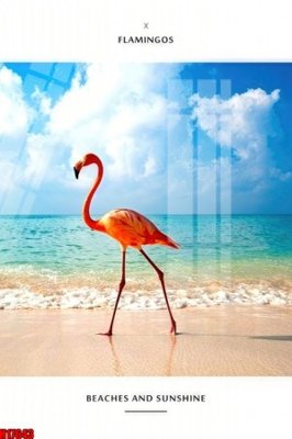 File ảnh File tranh gốc in tranh tường nền tổng hợp H17643 (gốc) in decal dán tường